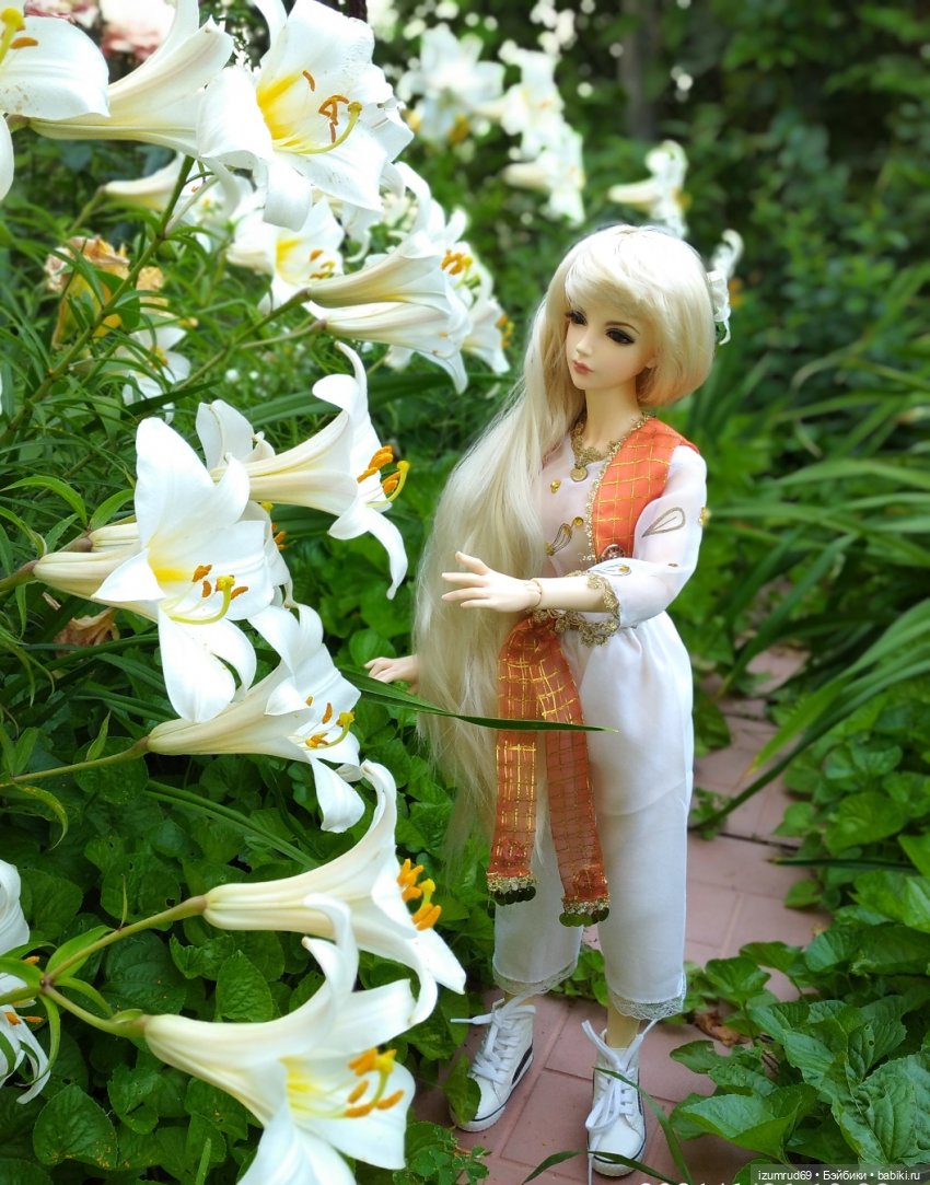 Сны Николя. Часть 1 — Куклы Iplehouse (Иплхаус): BJD (БЖД)