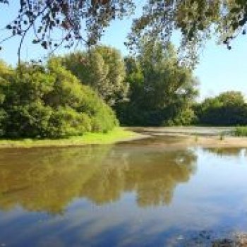 Осень в саду и в пойме 2023