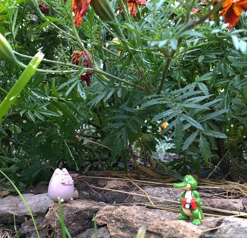 Каждому своё — Интересные игрушки и фигурки (разное): редкие (фото 3)