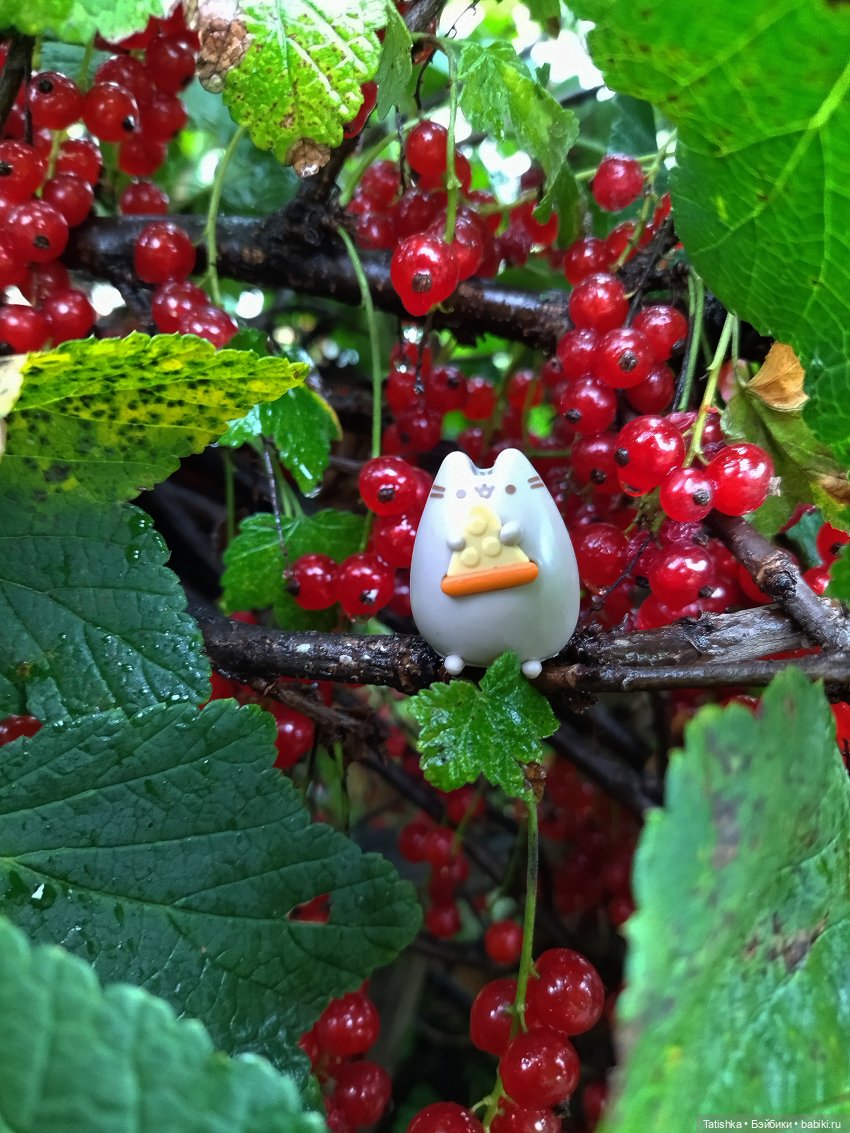 Каждому своё — Интересные игрушки и фигурки (разное): редкие (фото 2)