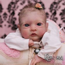 Новый молдик  Aster by Toby Morgan