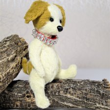 Джессика-рассел-терьер