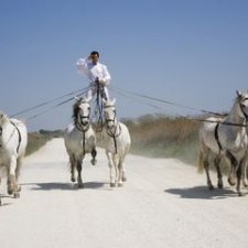 Лоренцо - летающий француз