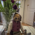 Гусятница из деревеньки