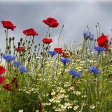 повесть "Предатель" часть5