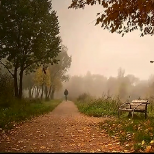 Осенний ноктюрн