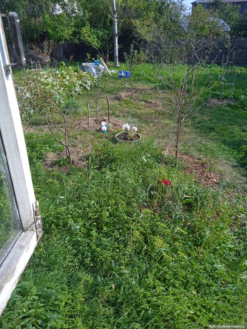 Осторожно с одуванами — Куклы Nines d'Onil (Нинес): Миа (Mia) (фото 5)