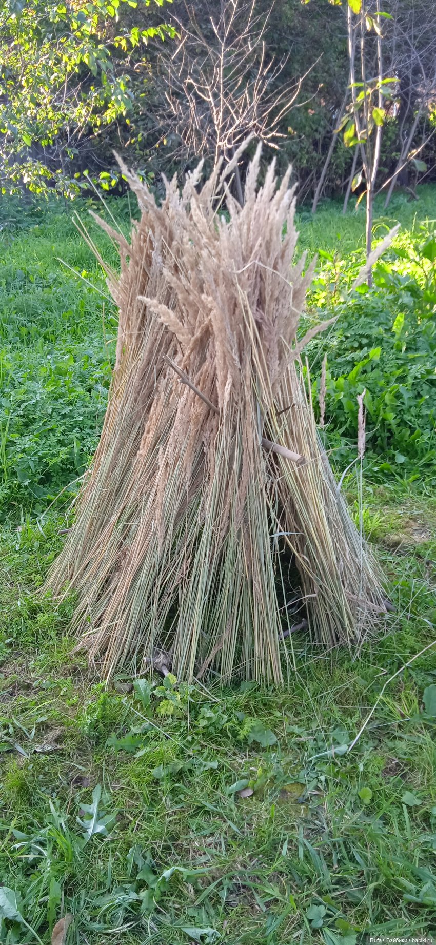 Солонькины забавы 5 — Куклы Carmen Gonzalez (Кармен Гонсалез): Мариетта (фото 6)