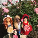 Любите ли вы английские розы?