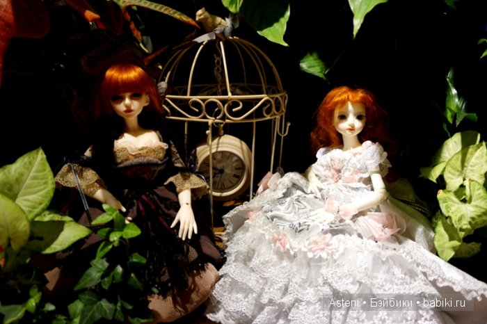 Дивный сад | Бэйбики Дивный сад — Куклы Dollmore (Доллмор): корейские BJD (БЖД) (фото 2)