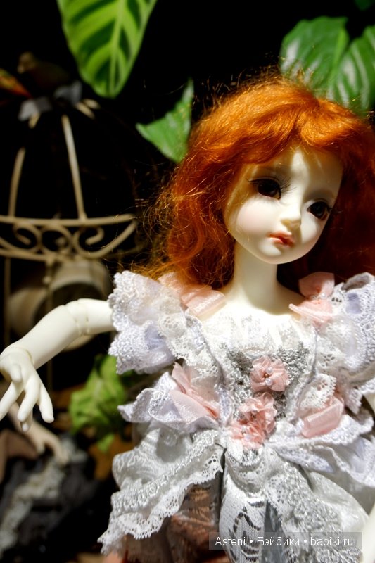 Дивный сад | Бэйбики Дивный сад — Куклы Dollmore (Доллмор): корейские BJD (БЖД) (фото 7)