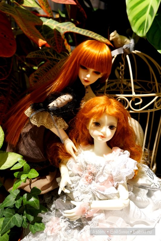 Дивный сад | Бэйбики Дивный сад — Куклы Dollmore (Доллмор): корейские BJD (БЖД) (фото 4)