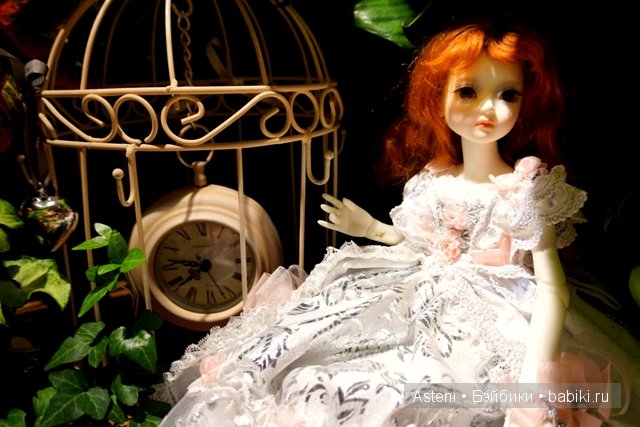 Дивный сад | Бэйбики Дивный сад — Куклы Dollmore (Доллмор): корейские BJD (БЖД)