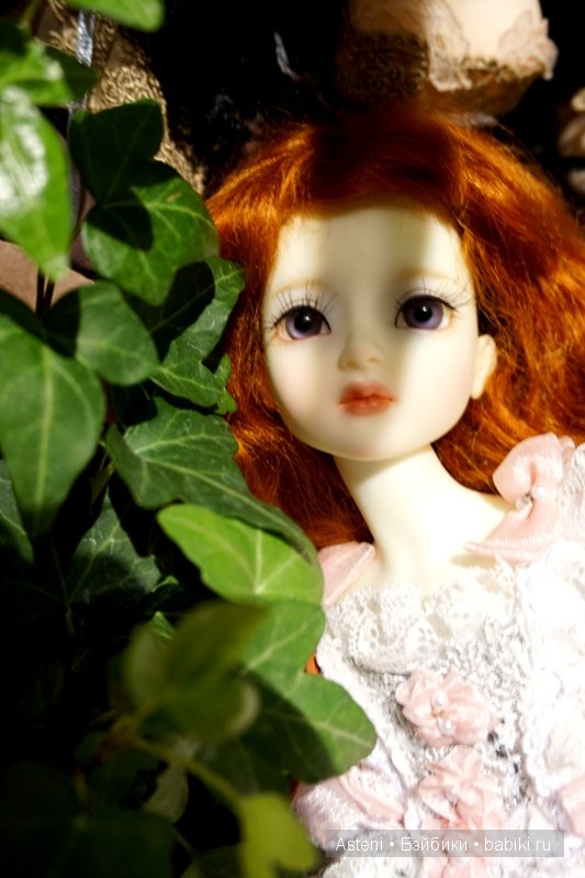 Дивный сад | Бэйбики Дивный сад — Куклы Dollmore (Доллмор): корейские BJD (БЖД) (фото 6)