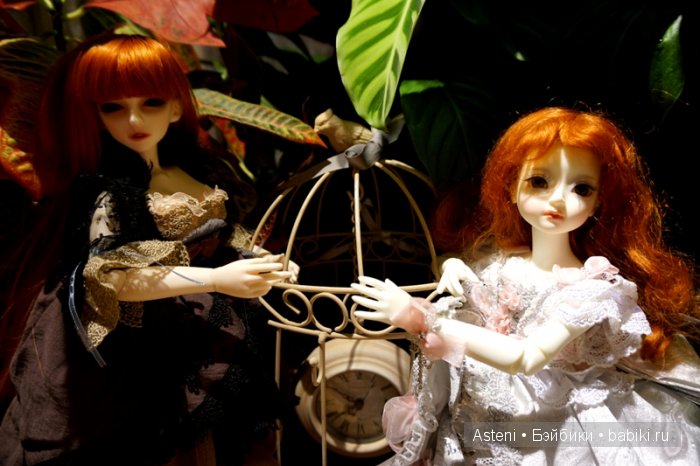Дивный сад | Бэйбики Дивный сад — Куклы Dollmore (Доллмор): корейские BJD (БЖД) (фото 3)
