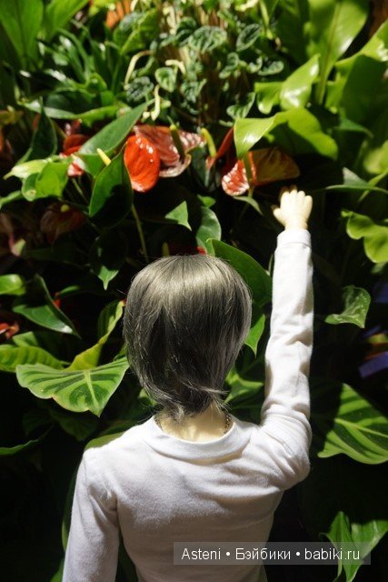 Вся правда о садовнике, часть 2 | Бэйбики Вся правда о садовнике, часть 2