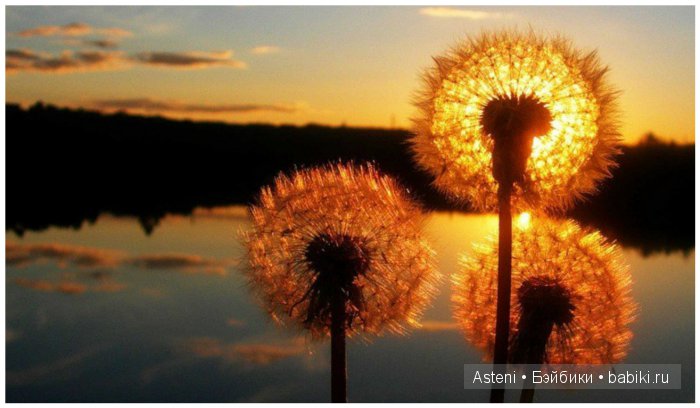 Жизнь на чердаке - 3 — Фотоистории с куклами BJD (БЖД): сериалы (фото 3)