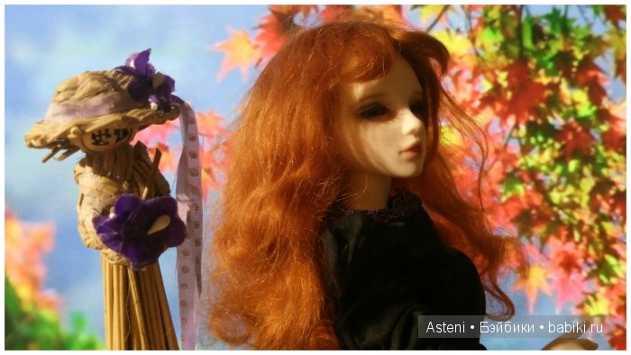 Осенние краски природы — Куклы Dollmore (Доллмор): корейские BJD (БЖД) (фото 3)