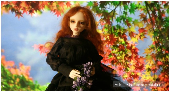 Осенние краски природы — Куклы Dollmore (Доллмор): корейские BJD (БЖД)