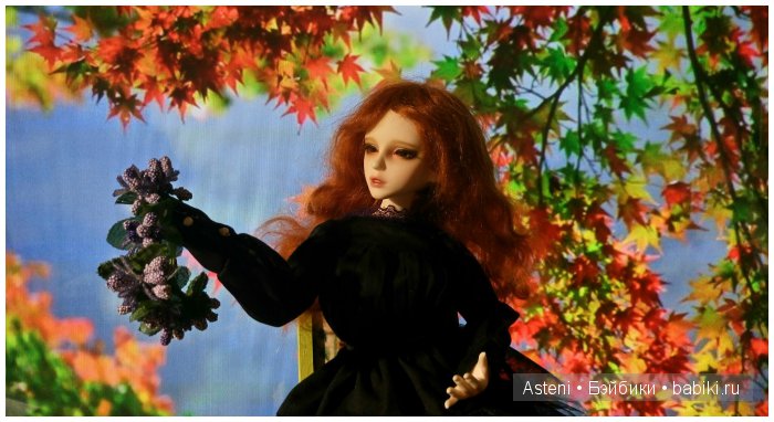 Осенние краски природы — Куклы Dollmore (Доллмор): корейские BJD (БЖД)