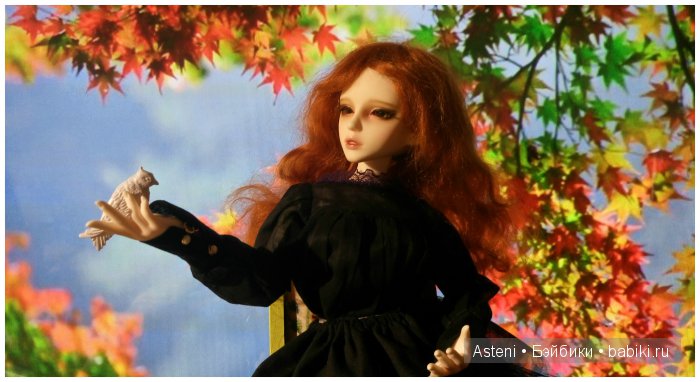 Осенние краски природы — Куклы Dollmore (Доллмор): корейские BJD (БЖД) (фото 10)