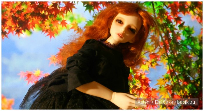 Осенние краски природы — Куклы Dollmore (Доллмор): корейские BJD (БЖД) (фото 6)