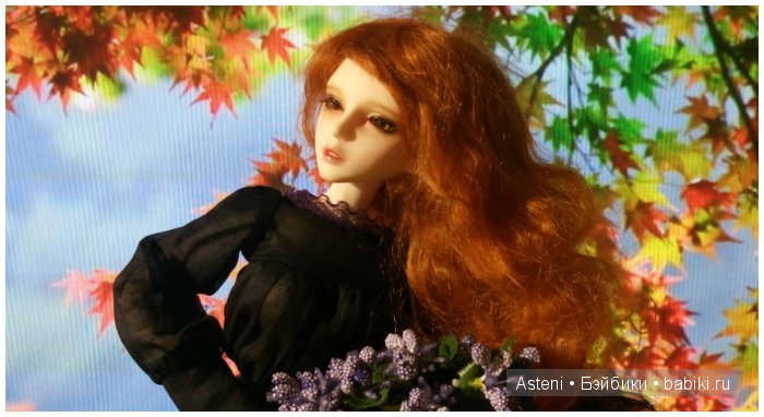Осенние краски природы — Куклы Dollmore (Доллмор): корейские BJD (БЖД)