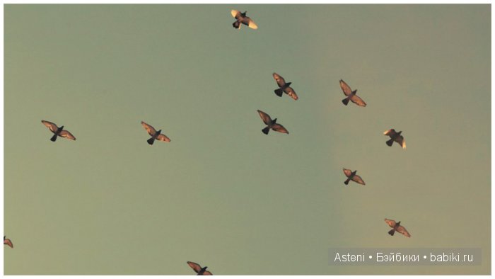 Охота на ведьм (продолжение фэнтези-истории) (фото 4)