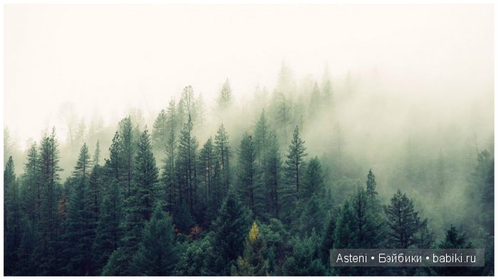 Охота на ведьм (продолжение фэнтези-истории)