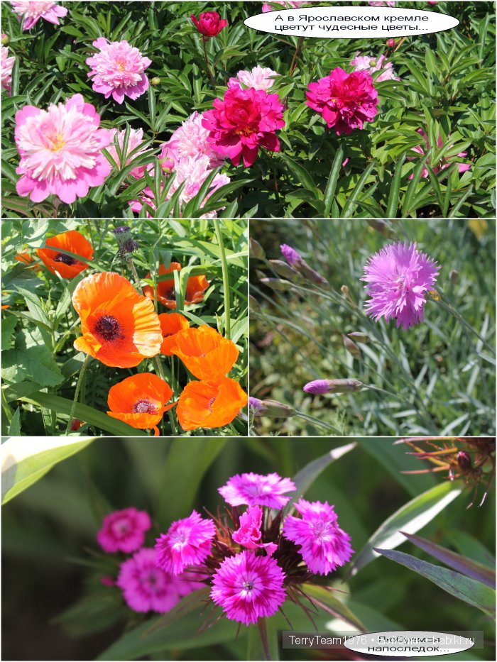 Железный Человек: приключения без брони. Путешествия. Ярославль