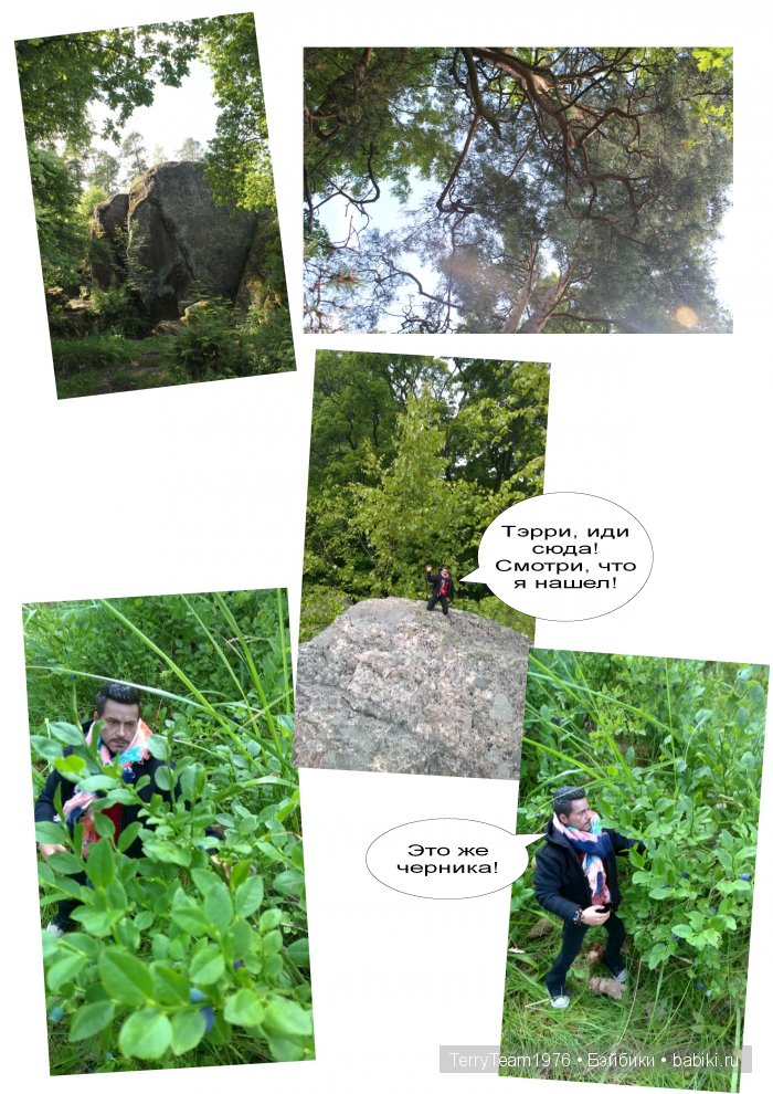 Железный Человек: приключения без брони. Путешествия. Выборг (фото 6)