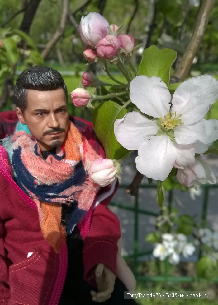 Железный Человек: приключения без брони. Переводные картинки