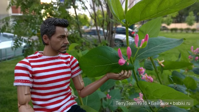 Железный Человек: приключения без брони. Прогулка в парке (фото 10)