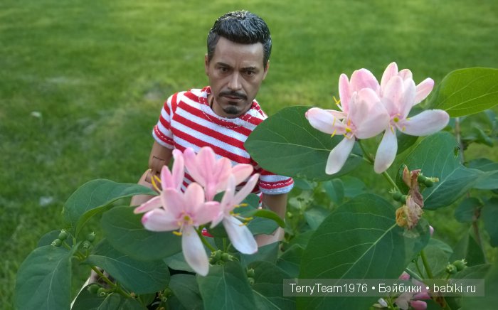 Железный Человек: приключения без брони. Прогулка в парке