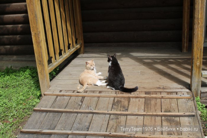 Большие выходные, или Как мы просто гуляли. Версия Виктории Тэрри
