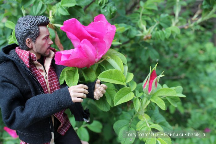 Большие выходные, или Как мы просто гуляли. Версия Виктории Тэрри