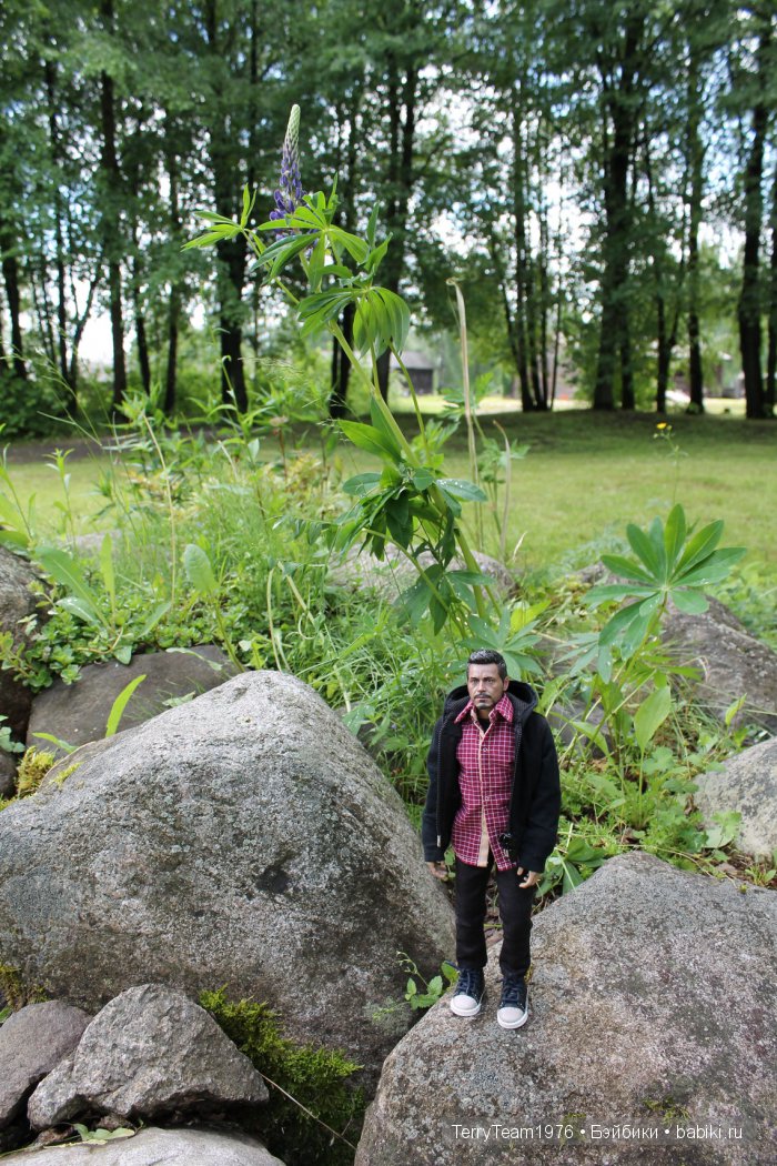 Большие выходные, или Как мы просто гуляли. Версия Виктории Тэрри