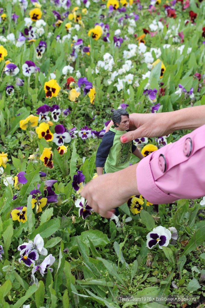 Большие выходные, или Как мы просто гуляли. Версия Виктории Тэрри