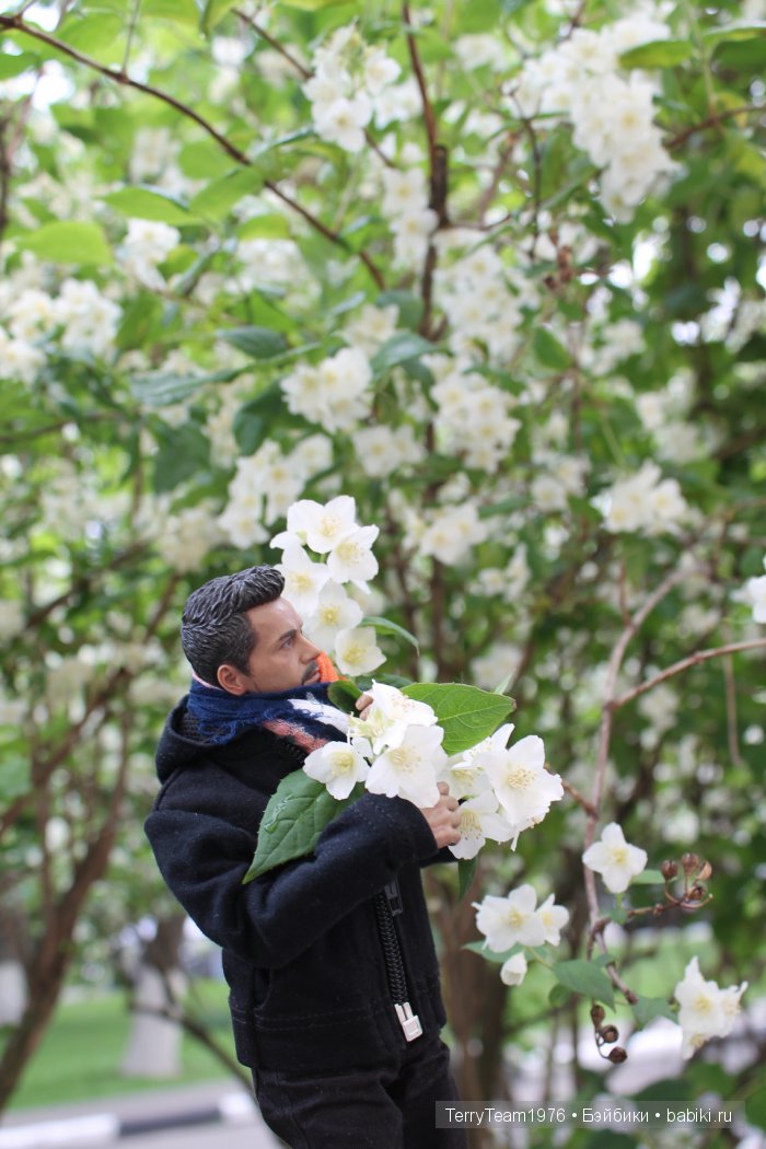 Большие выходные, или Как мы просто гуляли. Версия Виктории Тэрри