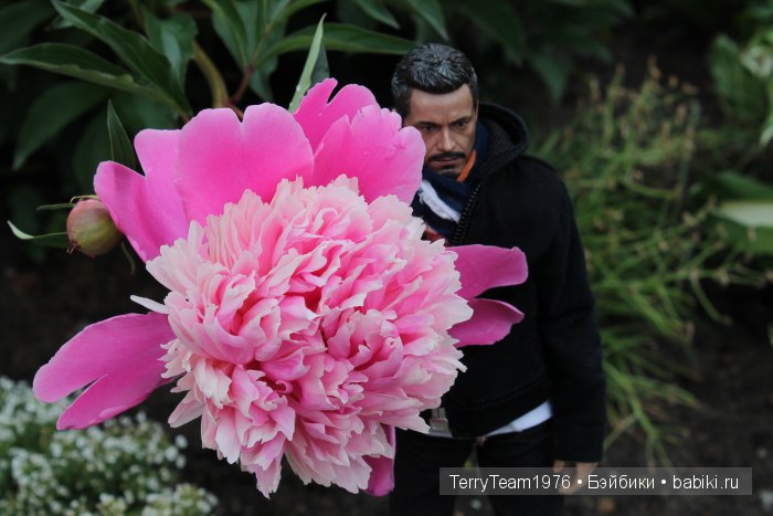 Большие выходные, или Как мы просто гуляли. Версия Виктории Тэрри