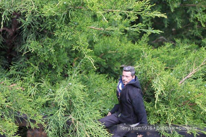 Большие выходные, или Как мы просто гуляли. Версия Виктории Тэрри