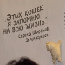 Добро пожаловать в Мурариум!