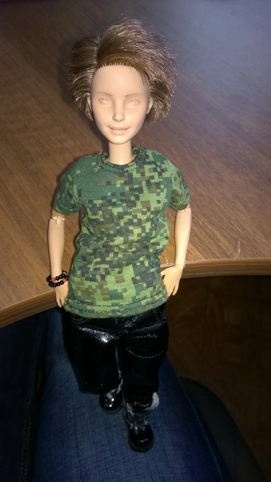 TerryTeam - Тэрри, версия 5.0, окончательная (фото 5)