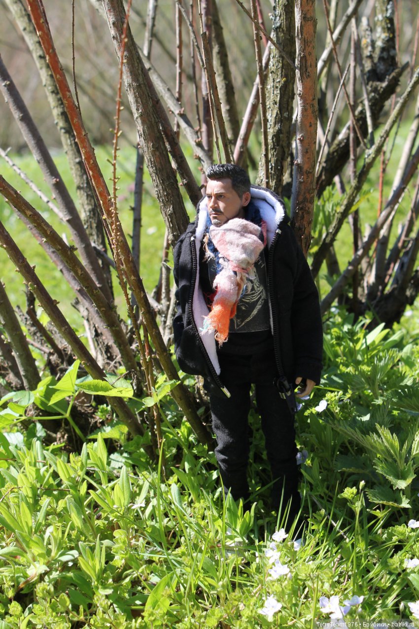 Железный Человек: приключения без брони. Весенняя прогулка (фото 5)