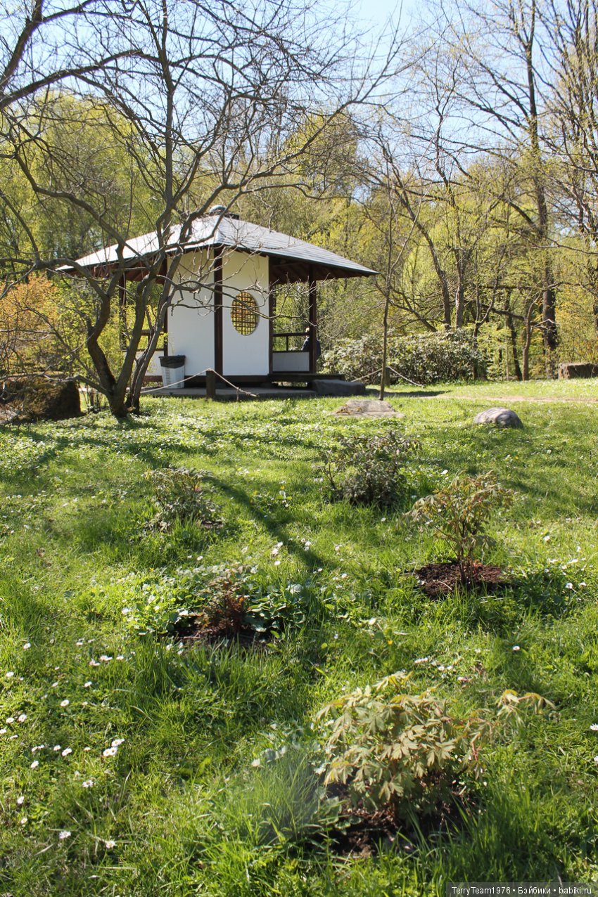 Железный Человек: приключения без брони. Весенняя прогулка