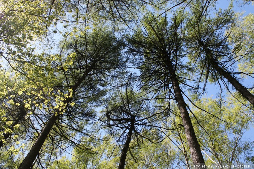 Железный Человек: приключения без брони. Весенняя прогулка