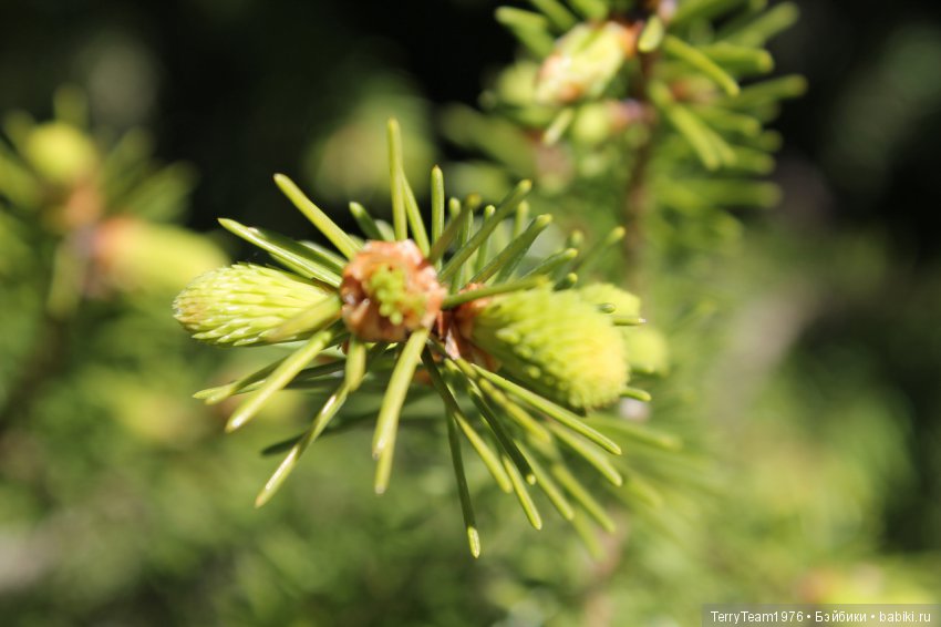 Железный Человек: приключения без брони. Весенняя прогулка