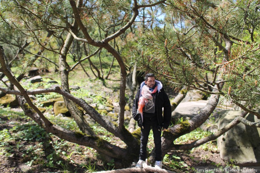 Железный Человек: приключения без брони. Весенняя прогулка