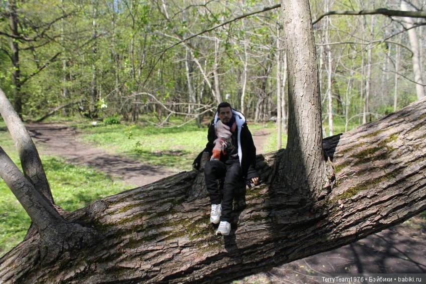 Железный Человек: приключения без брони. Весенняя прогулка (фото 9)