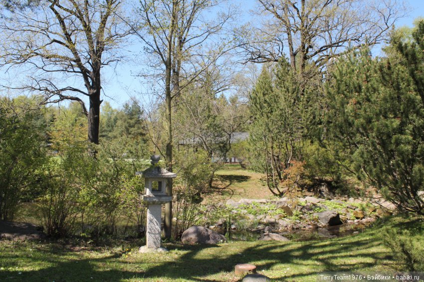 Железный Человек: приключения без брони. Весенняя прогулка (фото 10)